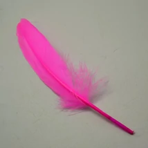 Színes kemény libatoll (10 db)