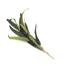 Selyemvirág bambuszlevél