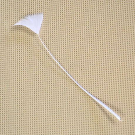 Színes pulykatoll vég (10 db), fehér (10 db)