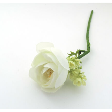Selyemvirág boglárka kis fehér virággal