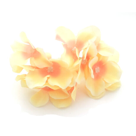 Selyemvirág hortenziafej