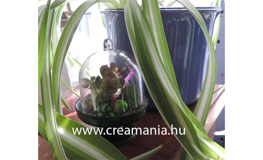 Mini terrárium